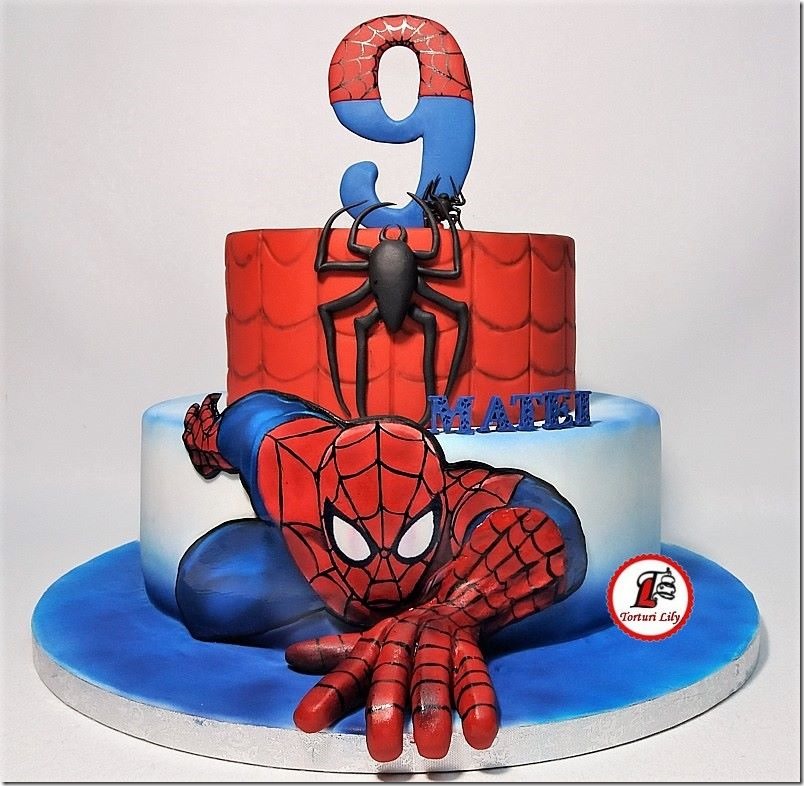 Spider-Man 9th Birthday Cake