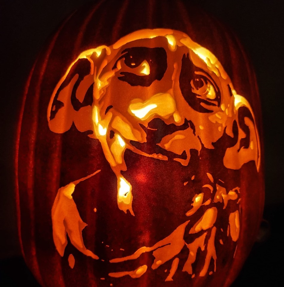 Magical Dobby Pumpkin Carving Between The Pages Blog