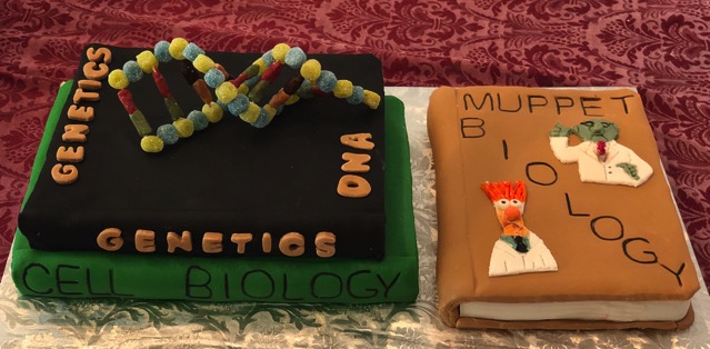 Muppets DNA Book cake IMG 0161