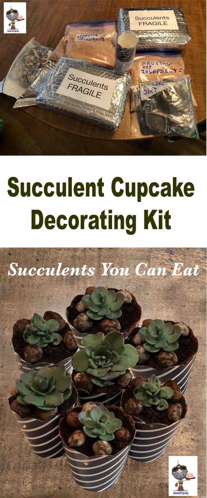 Succulent Cupcake Kit 