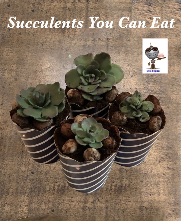 Succulent Cupcake Decorating Kit