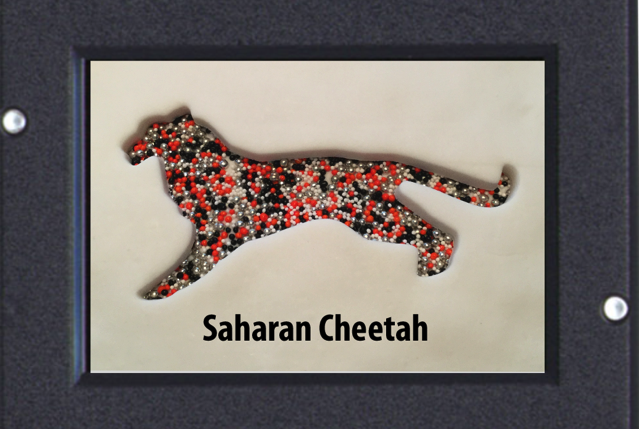 Cheetah Cookie