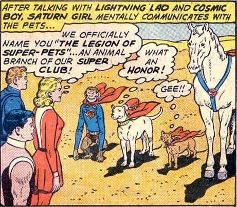 Legion of Super-Pets Are Named
