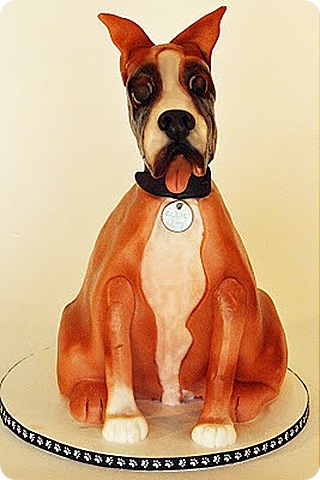 Boxer Cake